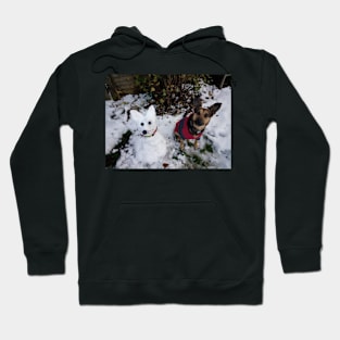 Snow Dog Hoodie